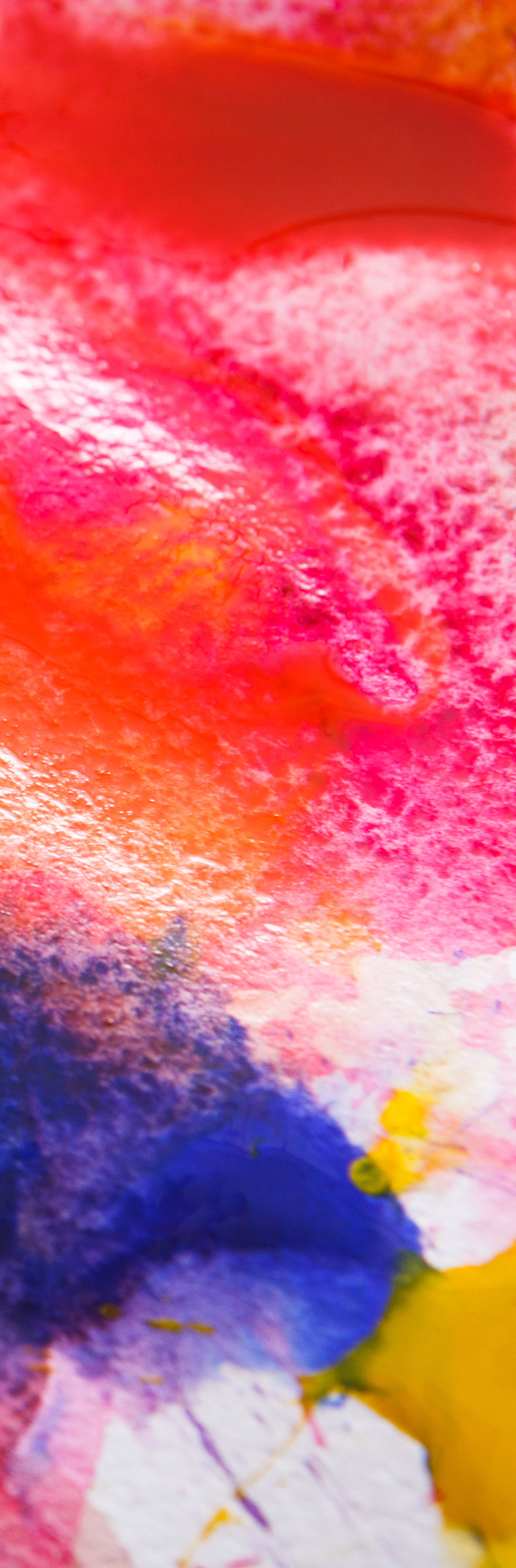 L'équipe Radioverse